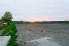 37-Fruehjahrsuebungen-2016