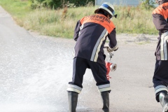 017-Leistungspruefung-2017