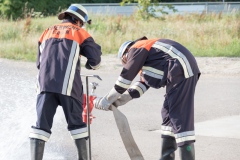 019-Leistungspruefung-2017