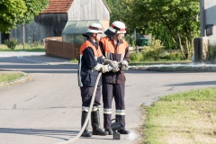 023-Leistungspruefung-2017