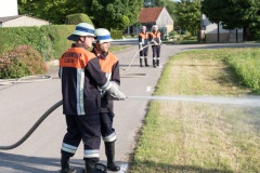 029-Leistungspruefung-2017