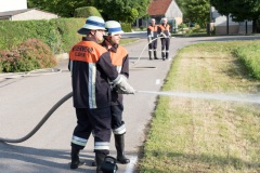 030-Leistungspruefung-2017