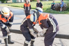 046-Leistungspruefung-2017