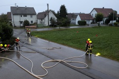 PXL_20240911_174110113.MP_