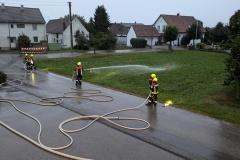 PXL_20240911_174126461.MP_