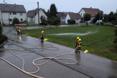 PXL_20240911_174129313.MP_