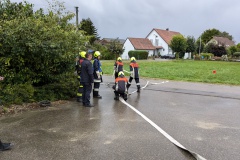 PXL_20240913_160439398