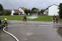 PXL_20240913_160619594.MP_