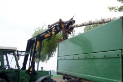 06-Maibaumfeier-2009