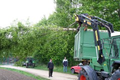 09-Maibaumfeier-2009