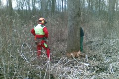 13-Motorsaegenkurs-2009