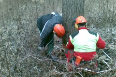 14-Motorsaegenkurs-2009