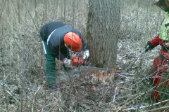 15-Motorsaegenkurs-2009