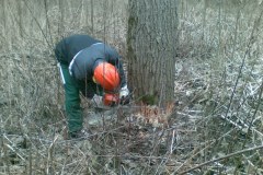 16-Motorsaegenkurs-2009