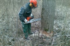 17-Motorsaegenkurs-2009