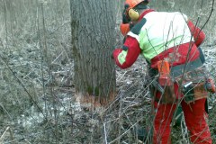 18-Motorsaegenkurs-2009