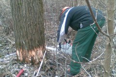 22-Motorsaegenkurs-2009