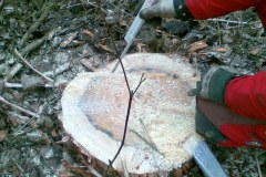 26-Motorsaegenkurs-2009