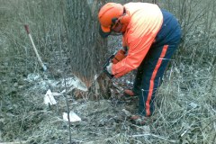 29-Motorsaegenkurs-2009