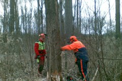 30-Motorsaegenkurs-2009