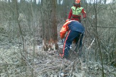 31-Motorsaegenkurs-2009