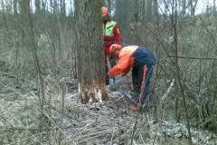 32-Motorsaegenkurs-2009