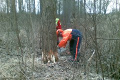 33-Motorsaegenkurs-2009