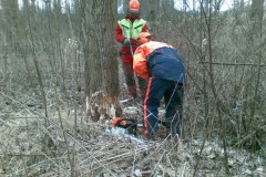 34-Motorsaegenkurs-2009