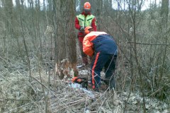 35-Motorsaegenkurs-2009