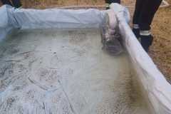 IMG-20230710-WA0011