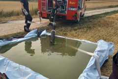 IMG-20230710-WA0016