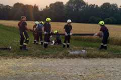 IMG-20230710-WA0019